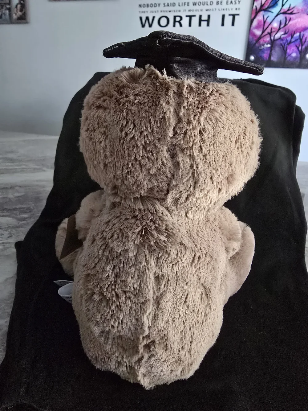 Graduate Sloth - Graduation Celebration! - Picture 3 of 4